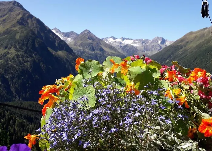 Pfeifer アパート