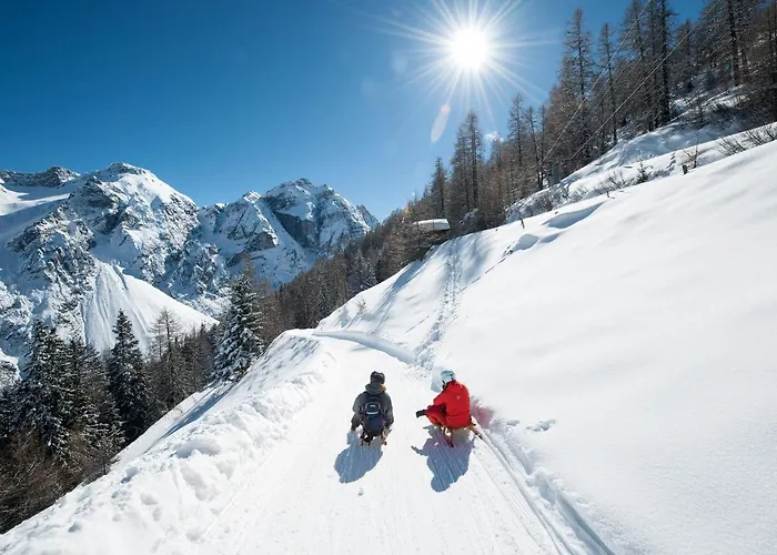 Apartament Pfeifer *