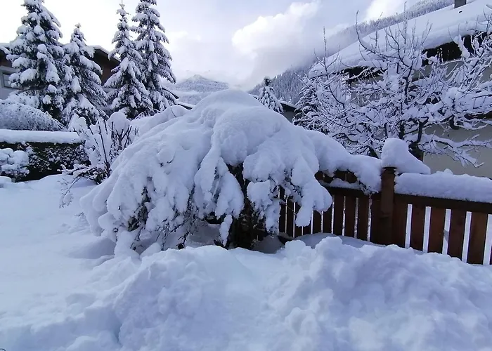 Pfeifer Apartament *