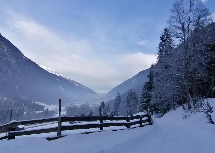 Pfeifer Apartament *