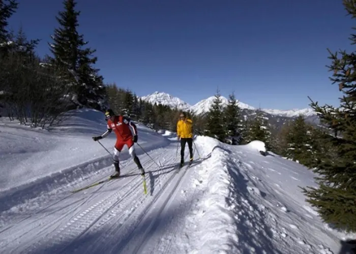 Apartament Pfeifer *