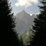 Pfeifer *
